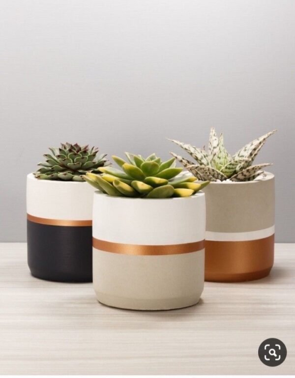 Concrete Planter Pots - Set of 3 Cement Planter Pots - Front