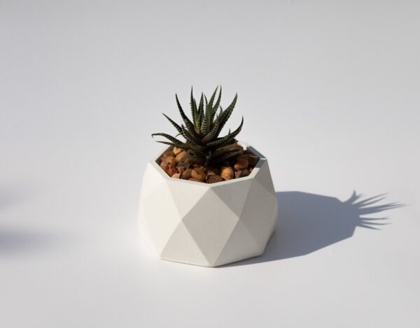 Geometric Concrete Planter and Pots - Side - 1