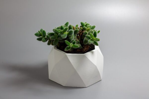 Geometric Concrete Planter and Pots - Side - 2