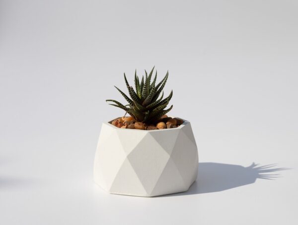 Geometric Concrete Planter and Pots - Top