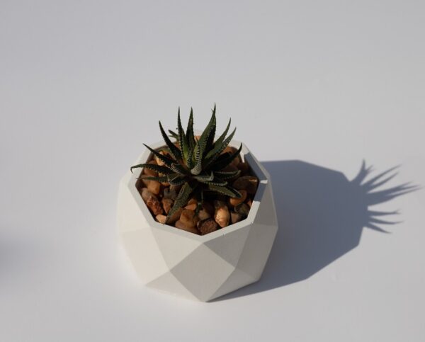 Geometric Concrete Planter and Pots - Top - 2