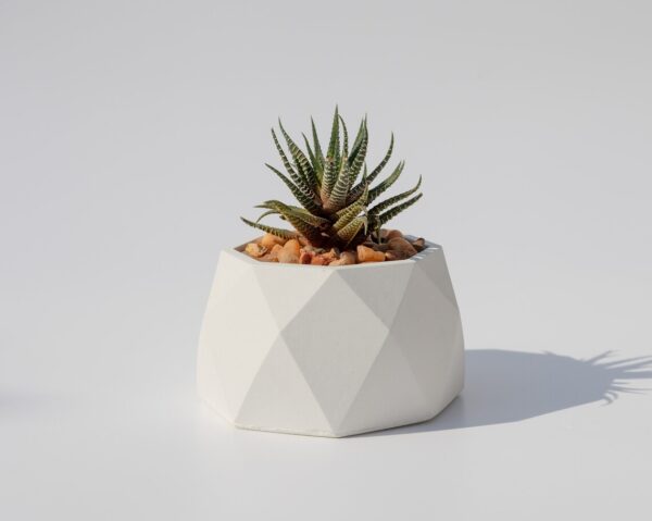 Geometric Concrete Planter and Pots - front - 1