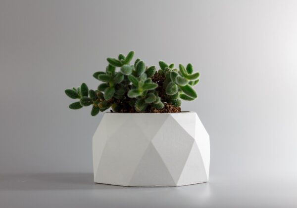 Geometric Concrete Planter and Pots - front - 2