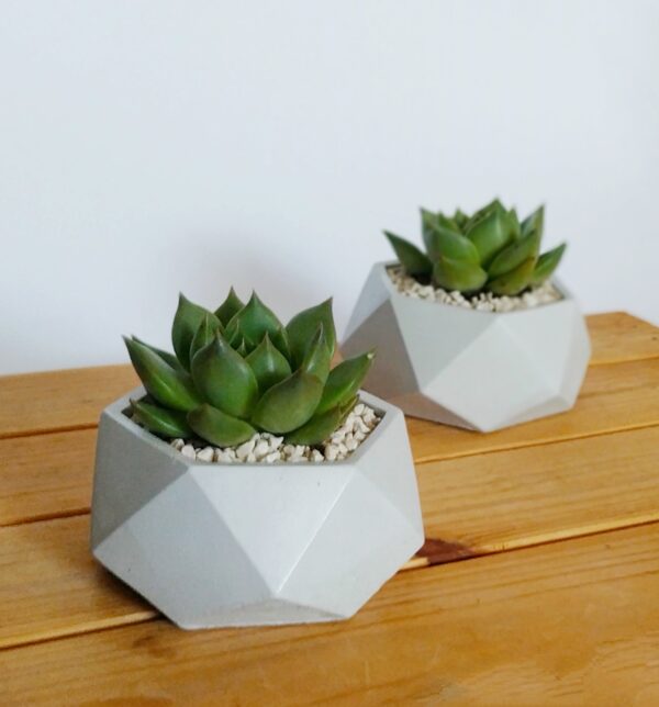 Polygon Concrete Planter and Pot - Side - 2