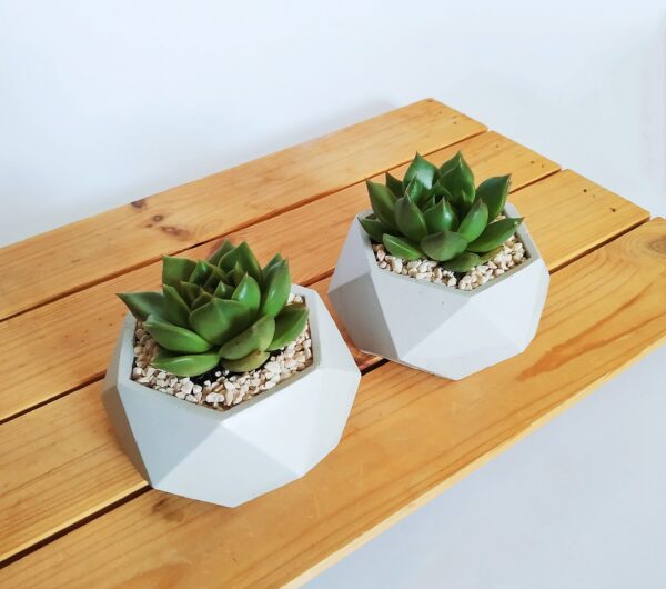 Polygon Concrete Planter and Pot - Side