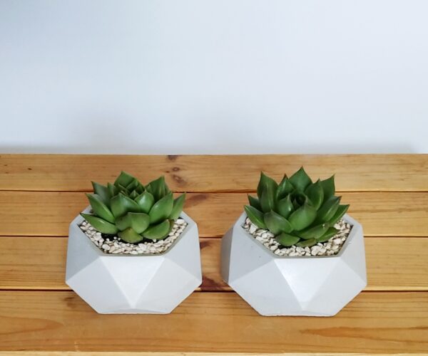 Polygon Concrete Planter and Pot - Top